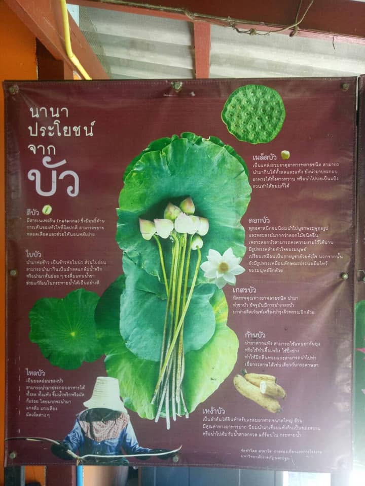 title - ส.ป.ก.นครปฐม ลงพื้นที่ตรวจเยี่ยมและติดตามการดำเนินงานกลุ่มวิสาหกิจชุมชน